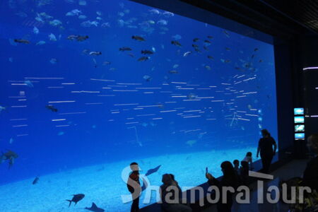 ocean_008.jpg